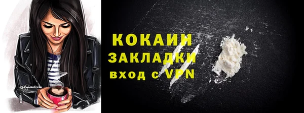 тгк Алексин