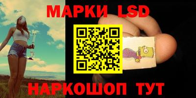 индика Донецк