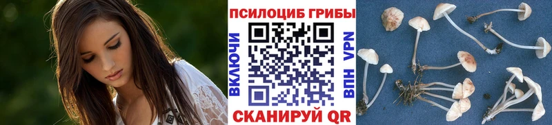 Галлюциногенные грибы мухоморы  маркетплейс наркотические препараты  Кудрово 