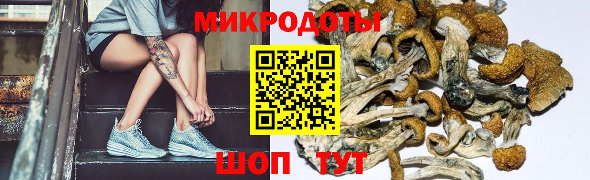 Псилоцибиновые грибы MAGIC MUSHROOMS  Вход с VPN  Кудрово 