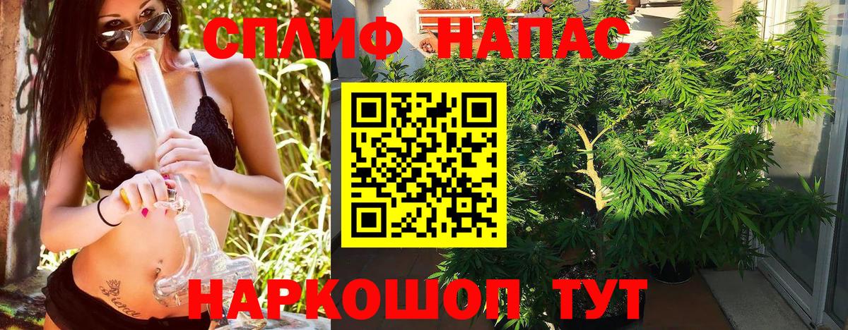 Бошки марихуана LSD WEED  Вход с VPN  Конопля план  Кудрово  Канабис VHQ  Шишки марихуана AK-47 